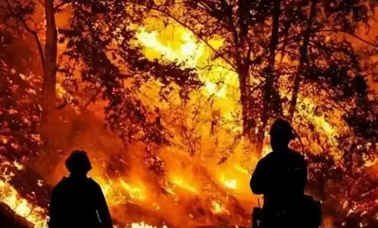 眼看美国大火已经收不住了，连日来，大家都纷纷为美国送去了捐赠，有人捐了个寂寞，有