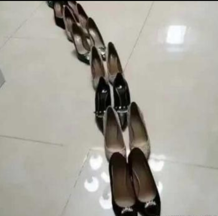 谁和 我一样鞋子可以摆的一条长龙
