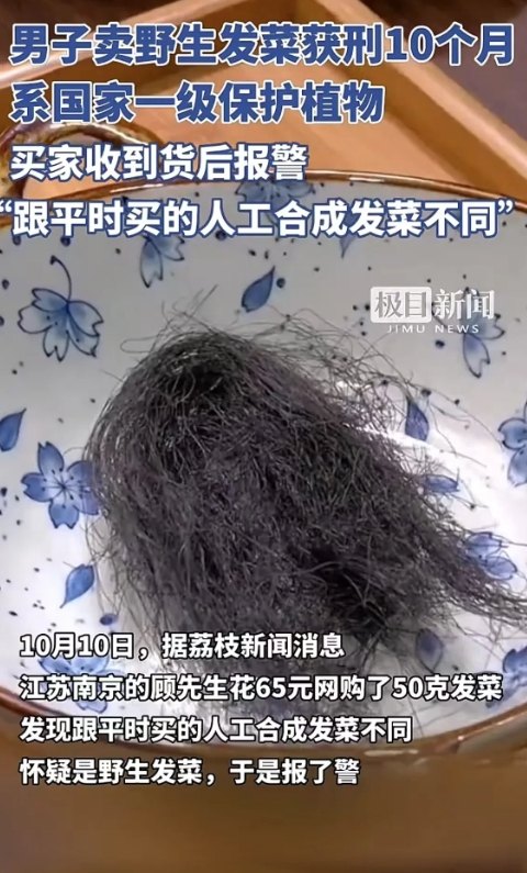 南京，男子在网上花65元买了50g发菜，收到货后，男子怀疑自己买到了野生发菜，跟