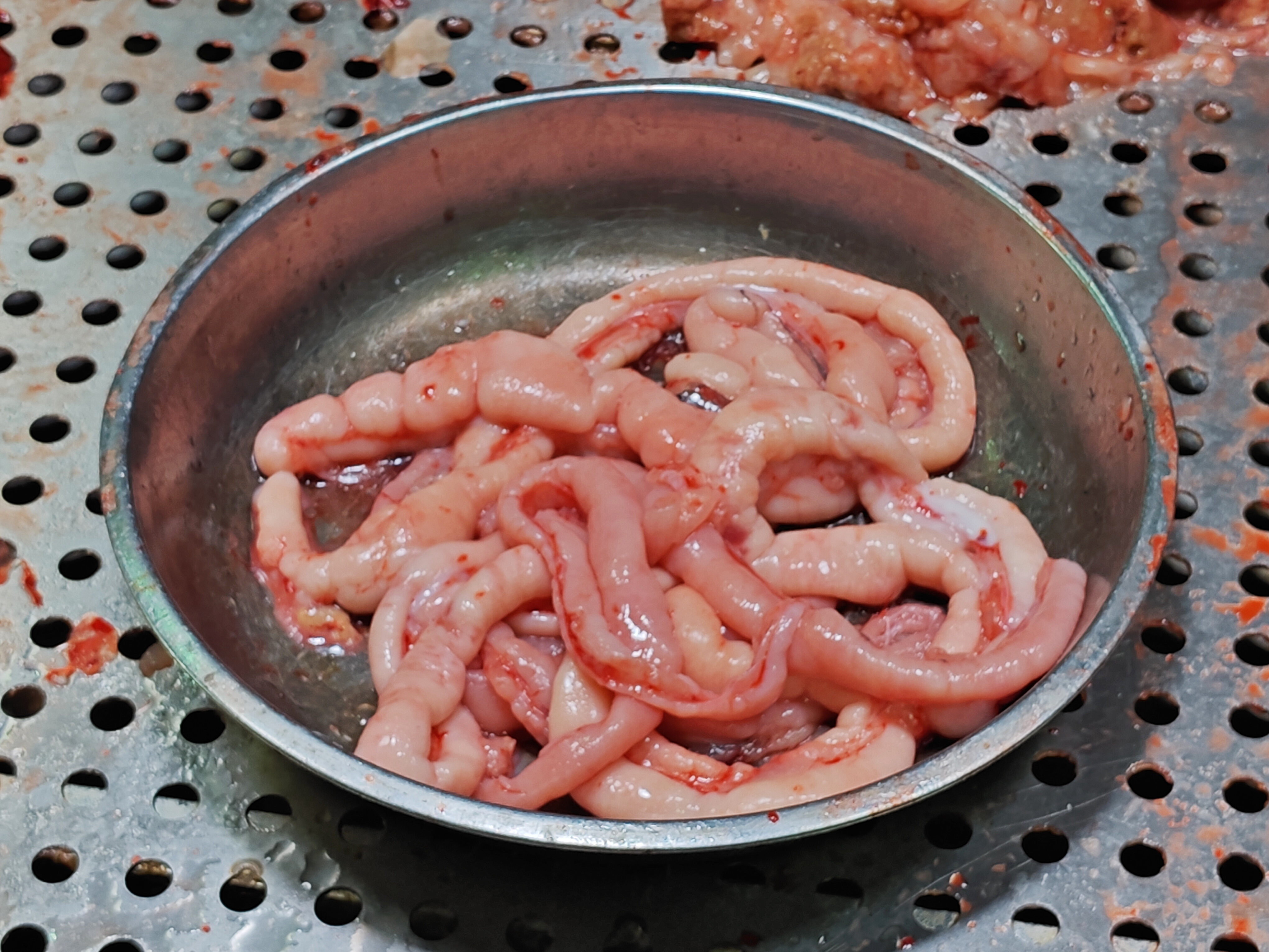 脆肉鲩的鱼肠，看着感觉，有点不太想吃。#广州#  ​​​