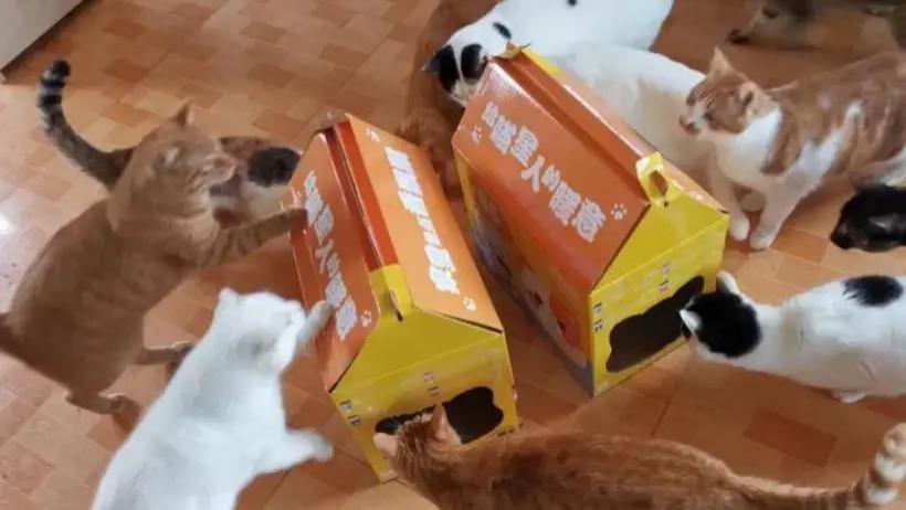 香飘飘践行承诺 向海洋保护公益组织捐款46万