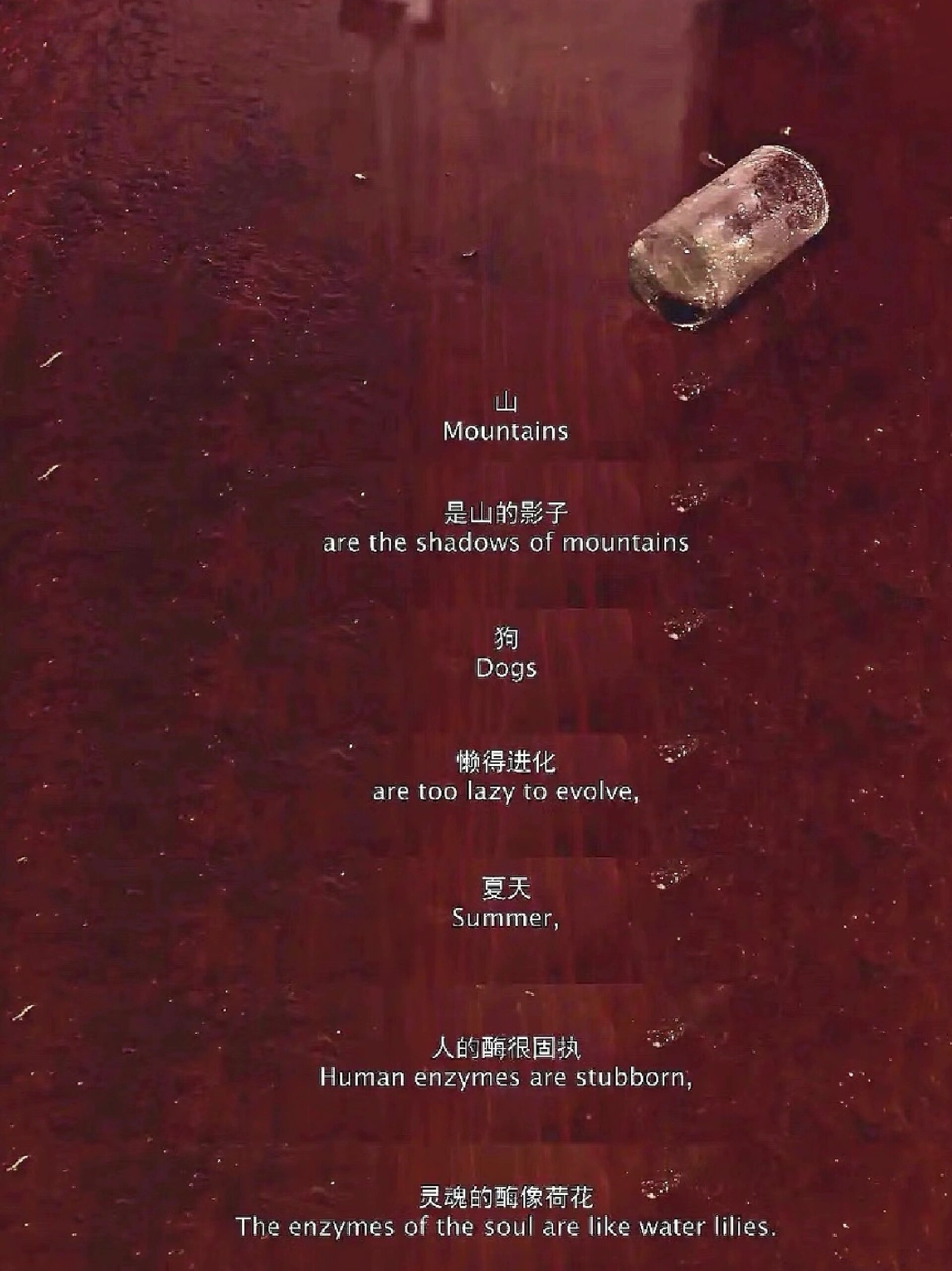 太绝了！半夜爆哭！不愧是天才之作
