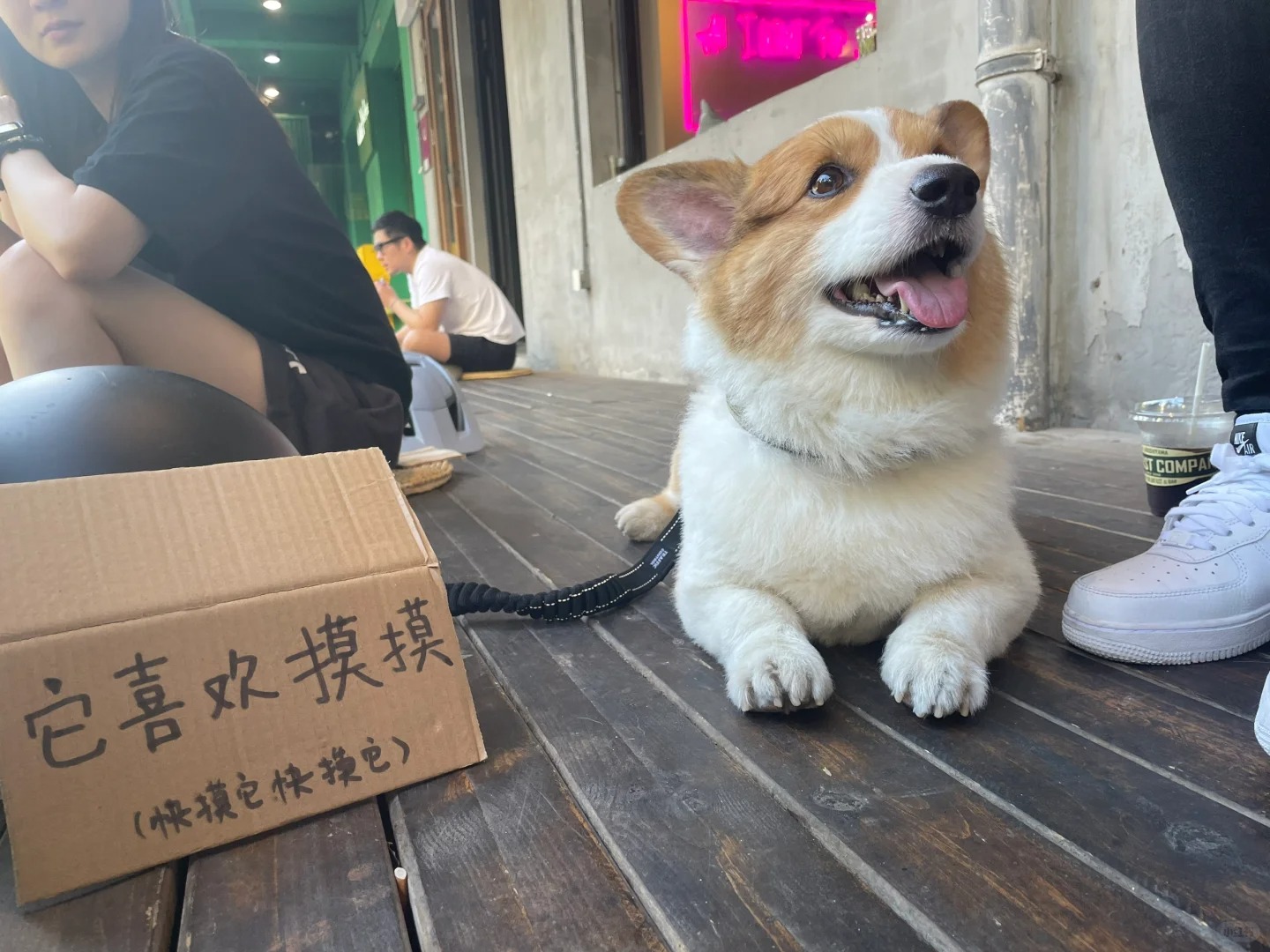 怎么有点像在要饭🤔