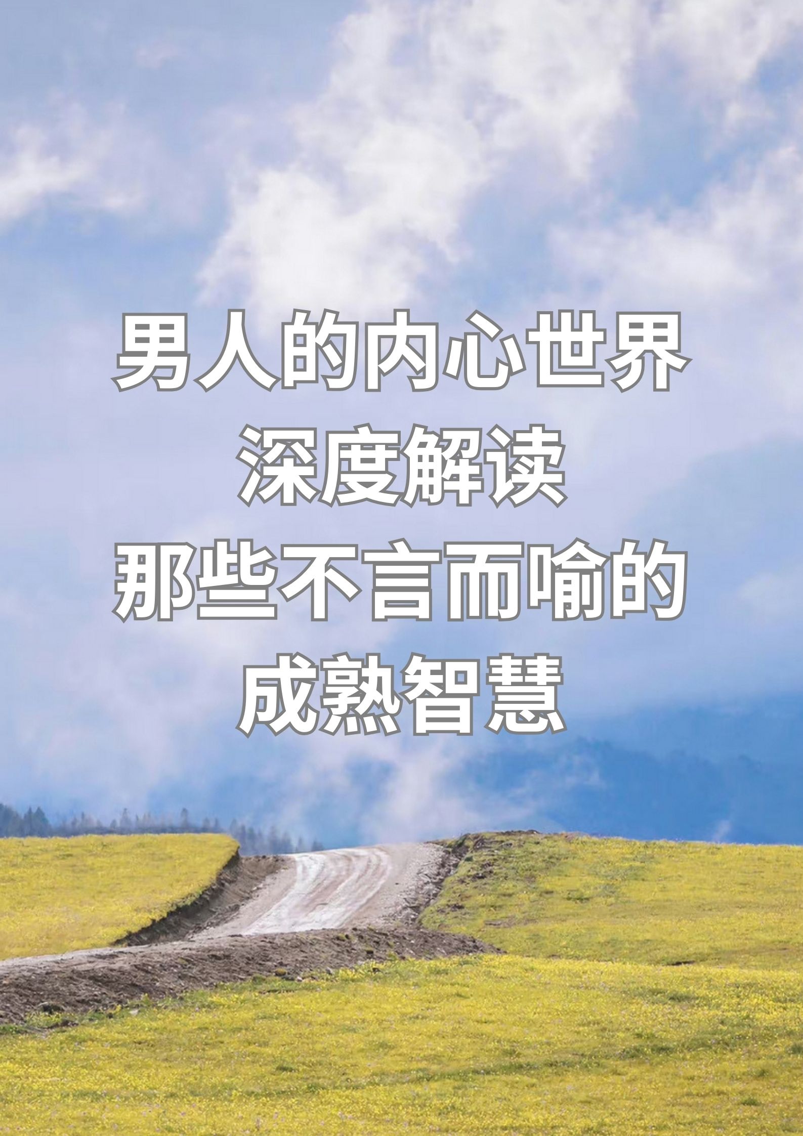 男人内心：深度解读言而喻的成熟智慧。