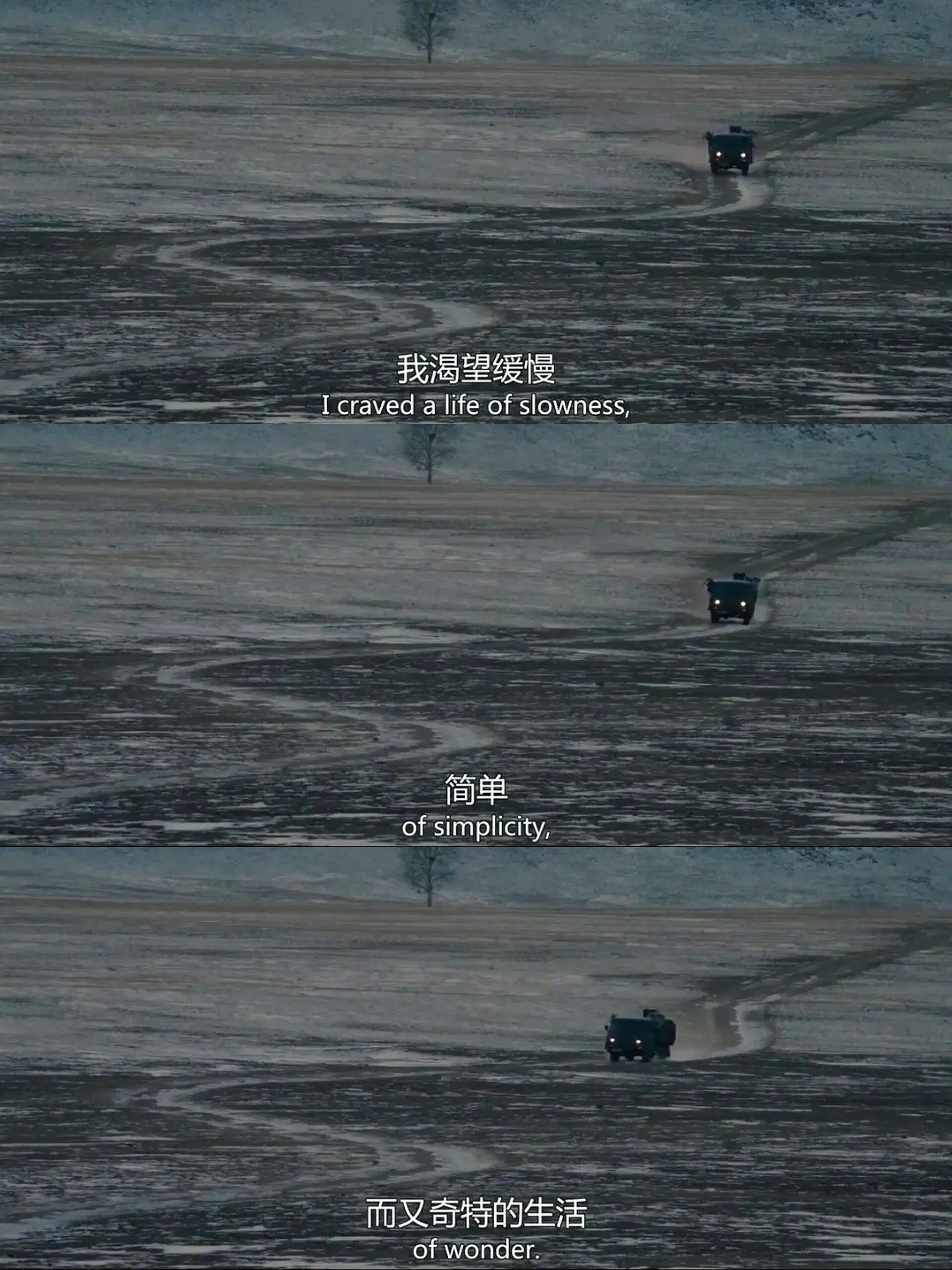 属于i人的孤独狂欢！看完后劲好大