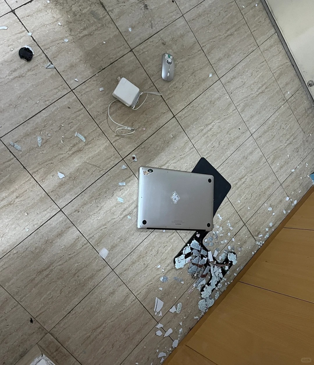 女大学生半夜尖叫……
电脑💻彻底无了，想买个新的，家人们有没有推荐财管专业，想