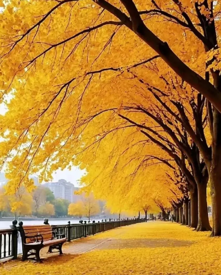 冲动是魔鬼！这不，中午出事了！
午休快结束的时候，有孩子冲到办公室，神色紧张地说