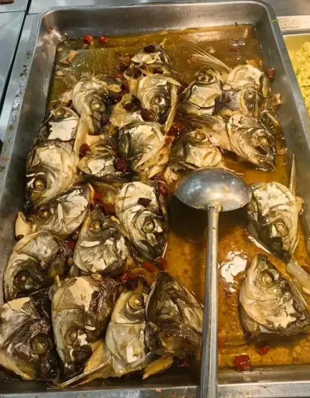 四川宜宾，暑假期间4名大学生举办补习班，为16名学生补课，被人举报，因没有办学许