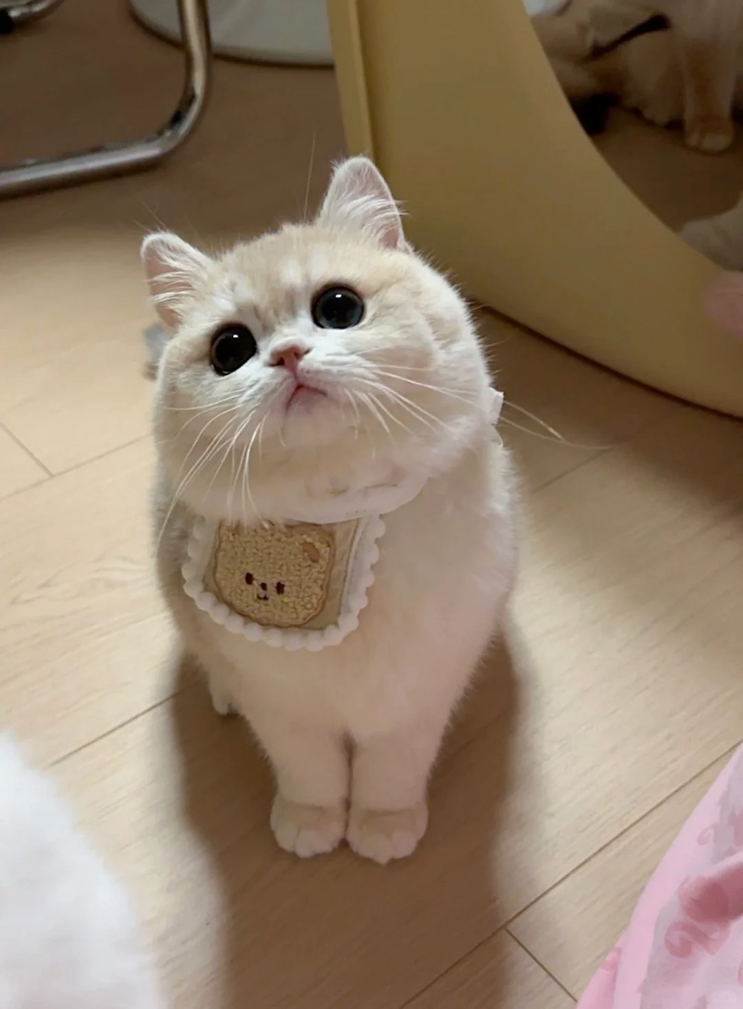 姨姨可以亲亲我嘛
妹妹真的好迷你啊！！