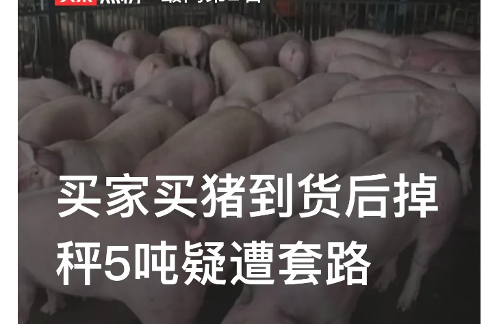 湖南常德，一男子向猪贩子支付一半货款后，车子走到半路，猪贩子又改口要求支付另一半