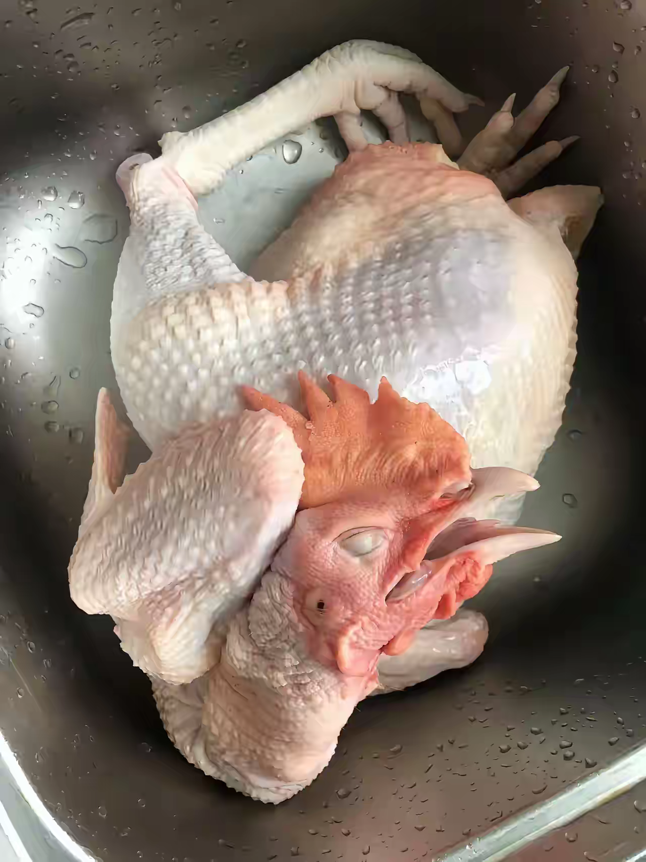 最近回老家，孩子闹着要吃土鸡，就跟邻居张大爷买了一只鸡，张大爷口口声声说这是自己