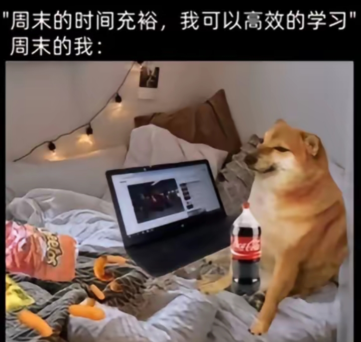 周末的我是这样的