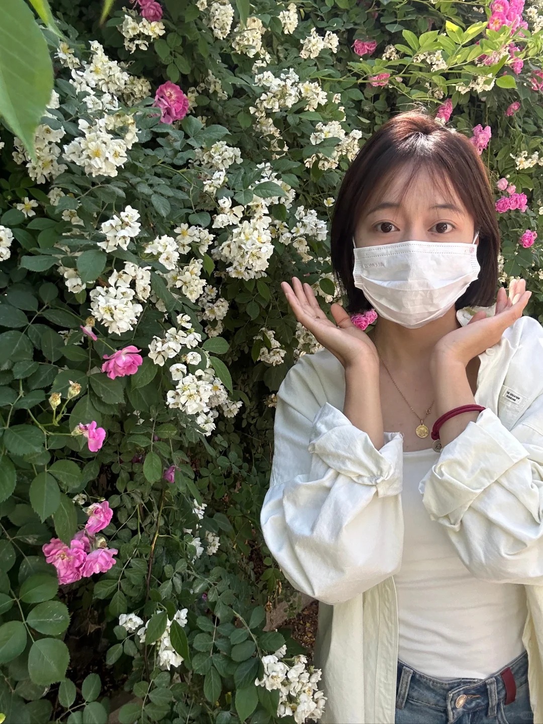 蔷薇花
拍上啦#爱情 #crush
