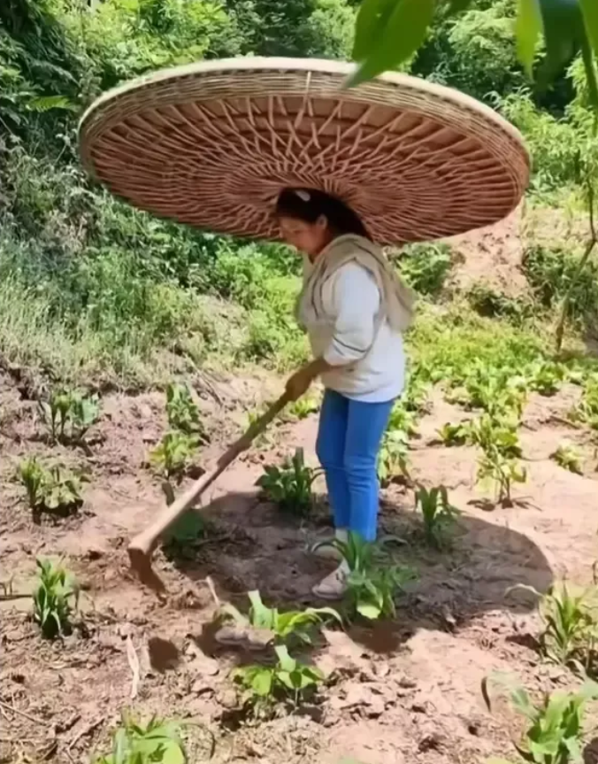 太有创意了，劳动人民就是有智慧。主要是干一天的活脖子能不能承受得了，外意遇到风天