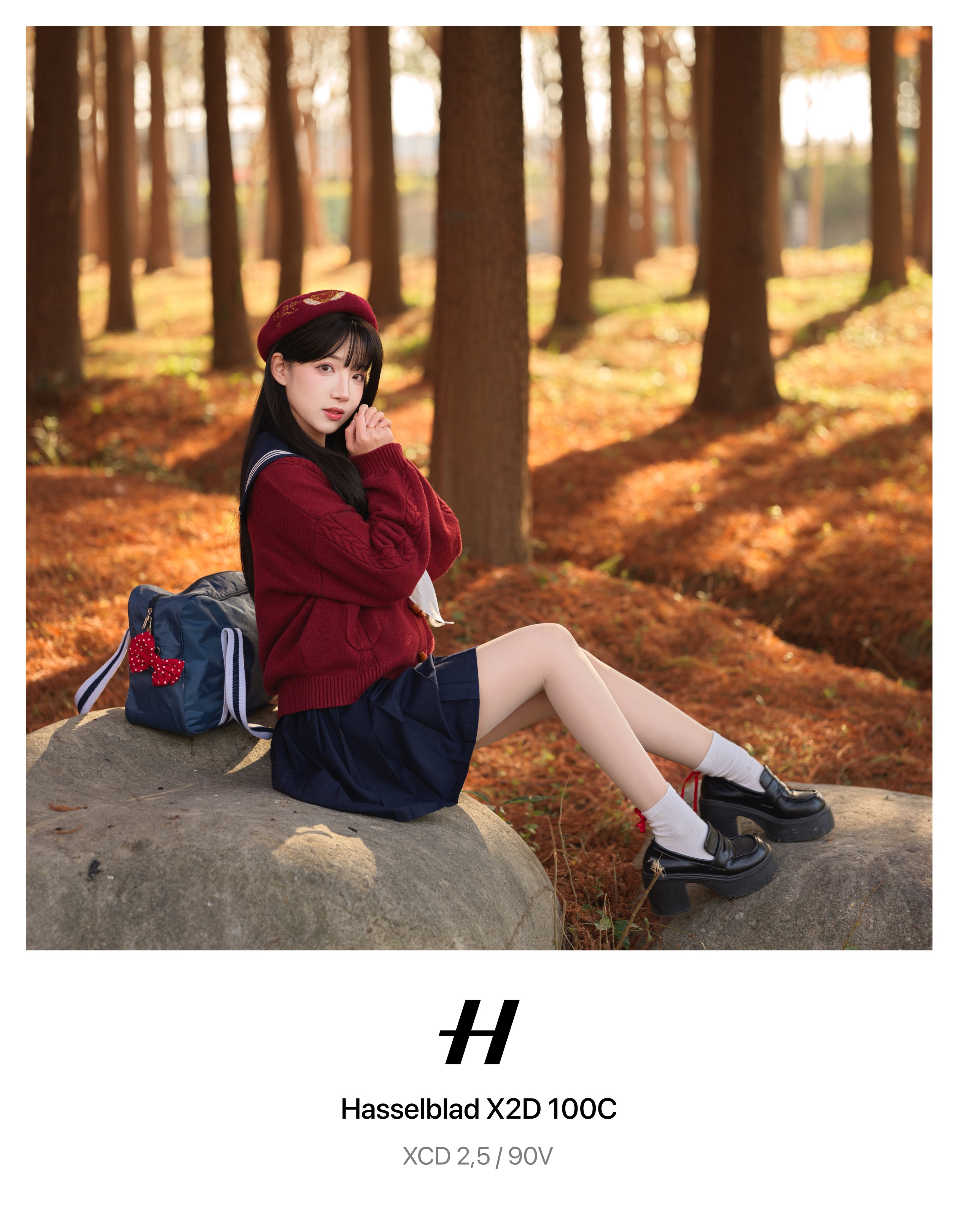 🍂⋆˖˚木の葉が舞うたびに、君の声が聞こえる𓂃𓈒