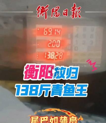 湘江边上的一个清晨，不同于往常的平静，却因一条138斤重的大青鱼激起了阵阵波澜。