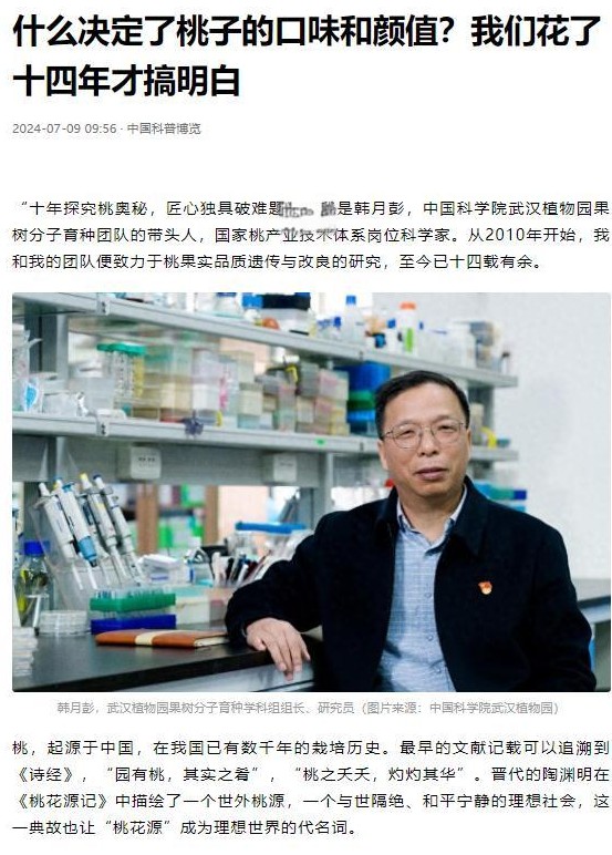 要不是看了这文章，我真得大喊一声“我的天呐！” 敢情咱们吃的桃子，长啥样、啥味道