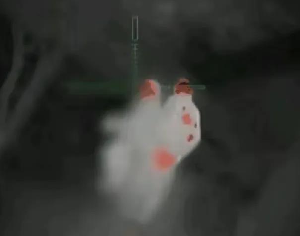 黑夜之中的幽灵的！
乌军狙击手利用夜色的掩护，佩戴着红外线瞄准仪打击在丛林之中巡