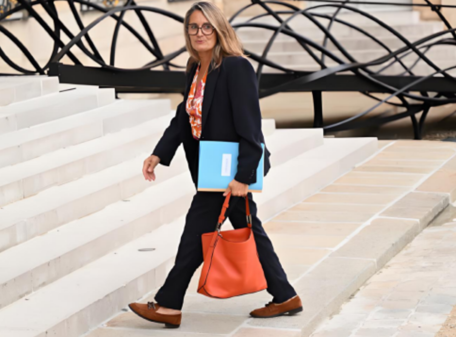 法国女部长访华质问中方为啥报复？法方认为一个理由让她可以气势汹汹。
法国贸易部副