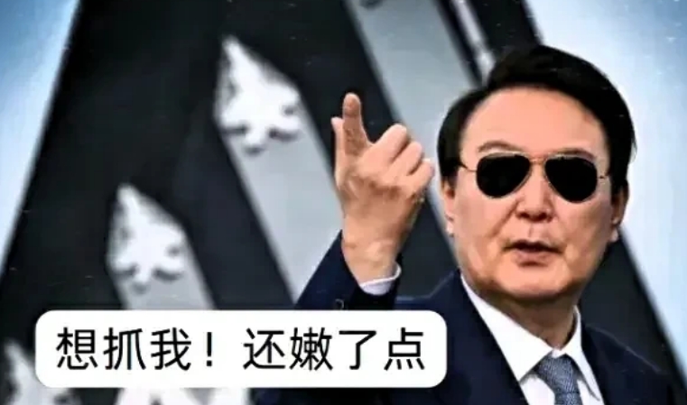大事不好！
韩国警方抓捕逃犯尹锡悦！
毫无抓捕能力，狼狈而回。按理说，尹锡悦被弹