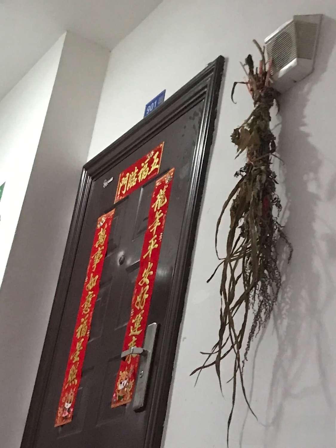 有谁知道这是啥玩意么？