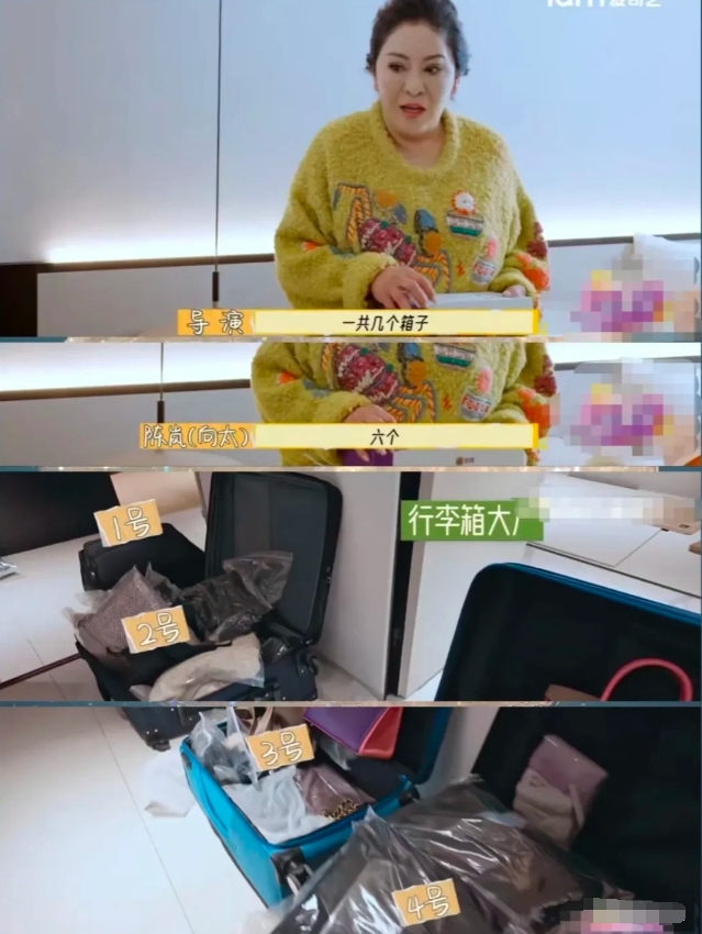向太六个箱子，李小冉4个箱子，庆奶一个行李箱，心疼弟弟搬行李箱很累，好家伙原来搬