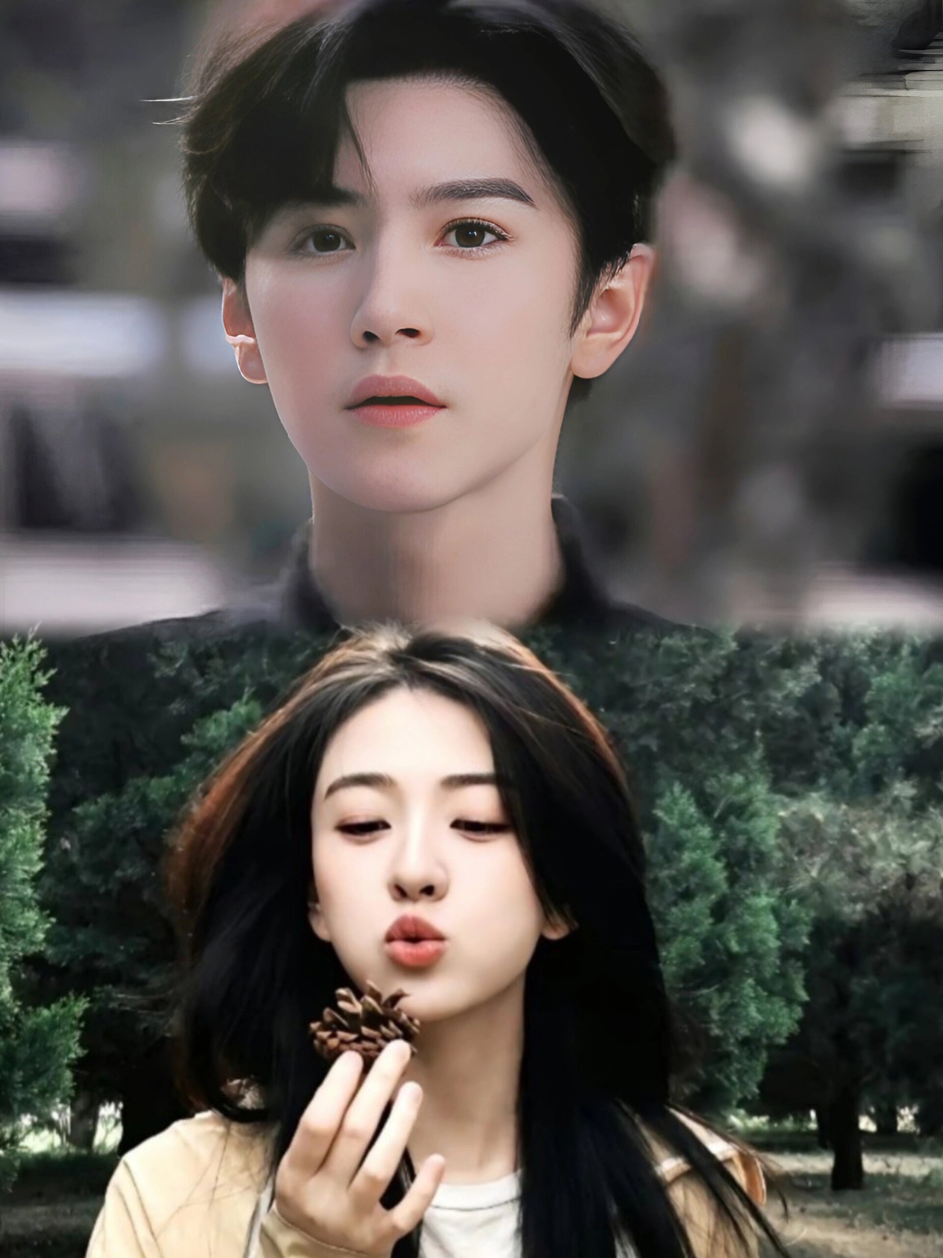 好剧推荐《白色橄榄树》