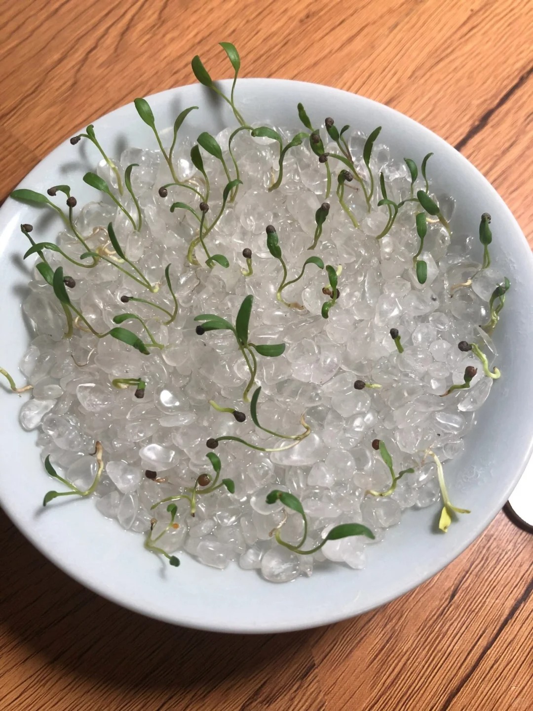 老公心疼我给了25w，买车还是香奶奶？
结婚五年了，家庭条件也还不错
家里已经有