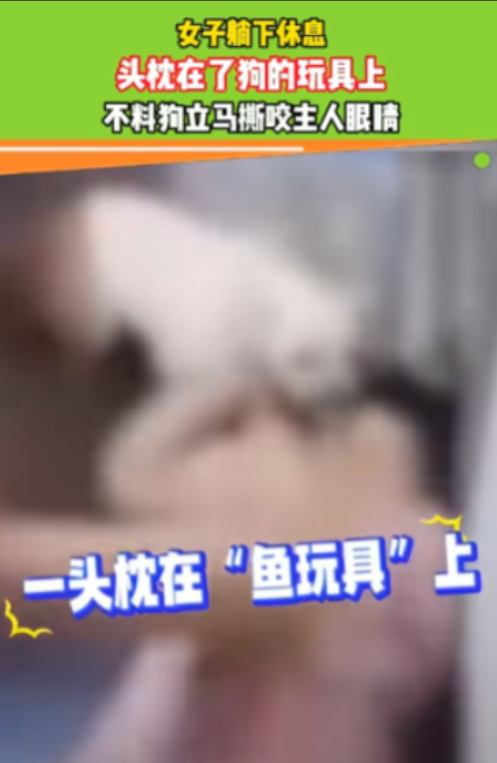 “畜生永远是畜生”！2024年媒体报道，黑龙江一女子躺下休息，头枕在了狗的玩具上