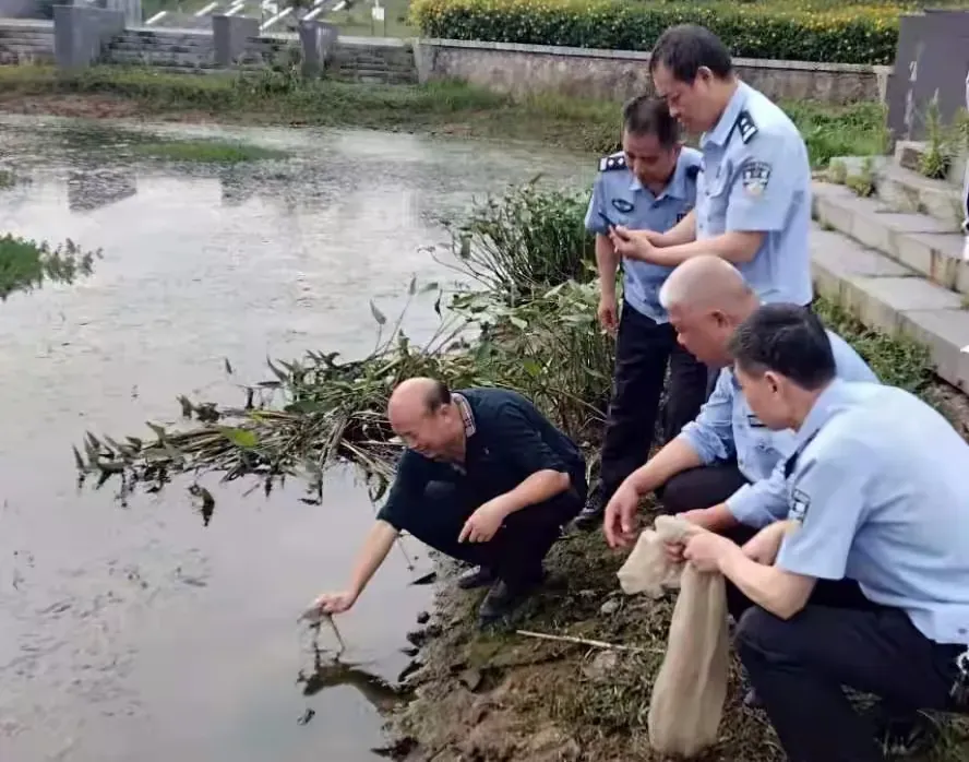 冤不冤？江西抚顺，男子听说青蛙腿特别美味，就趁着夜色出去抓青蛙，不料，却被警察当