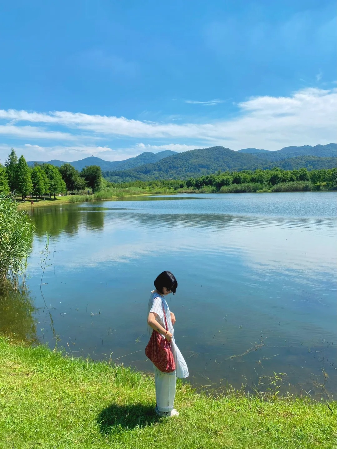 本以为玄武湖很美了，直到去了这里…
🌿南京的温度已经在逐渐上升啦！
🌿春暖花