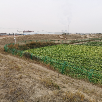 金蝉说娱乐