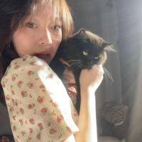 云端逐梦翼