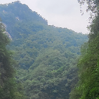 陌道飘尘