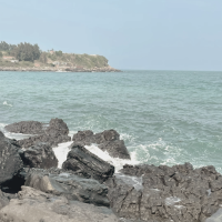 下班的我狗追不到