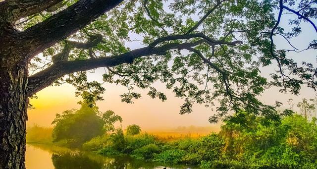 清晨似仙赐画卷，拂去烦恼	，让咱重拥对生活的爱与盼