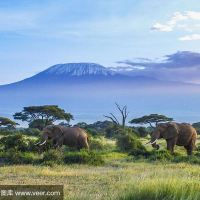 子雅子淳晨绵说科技