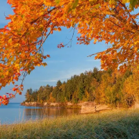 烟雨江南水墨画