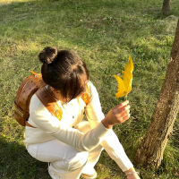 不吃香菜的小苦瓜