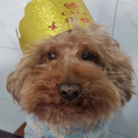 全眼聊体育