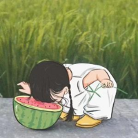 瓜汁橘长Dr