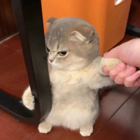 月下独酌人