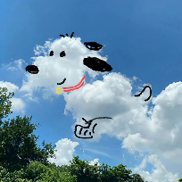 脑阔疼