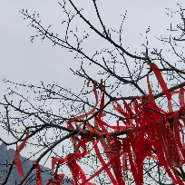 小悦月说