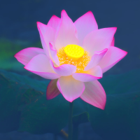 阳奕迅说时尚