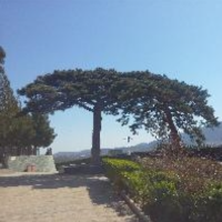 北京新文化街男孩