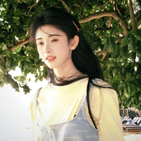 时光碎片的收藏家