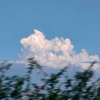 虚想幻