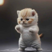 坚强的小猫咪