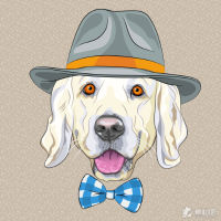 夜雨落花声讲啊